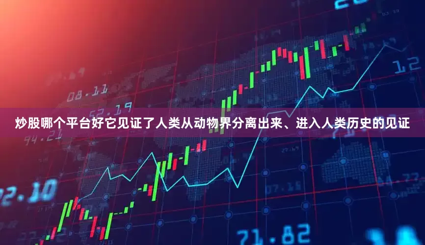 炒股哪个平台好它见证了人类从动物界分离出来、进入人类历史的见证