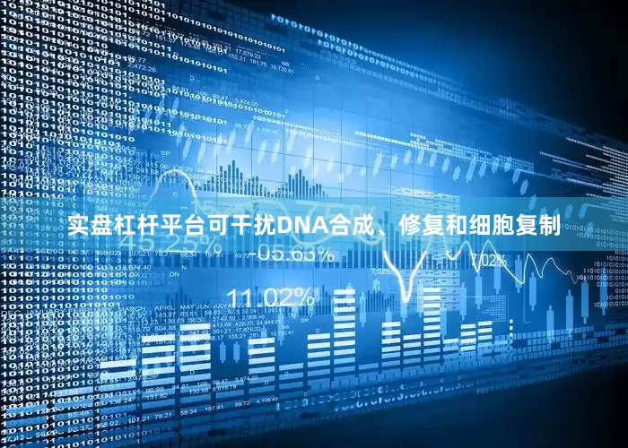 实盘杠杆平台可干扰DNA合成、修复和细胞复制