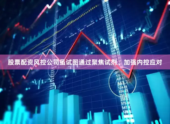 股票配资风控公司虽试图通过聚焦试剂、加强内控应对